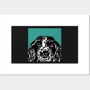 Alfie the Springer Spaniel Dog Posters and Art